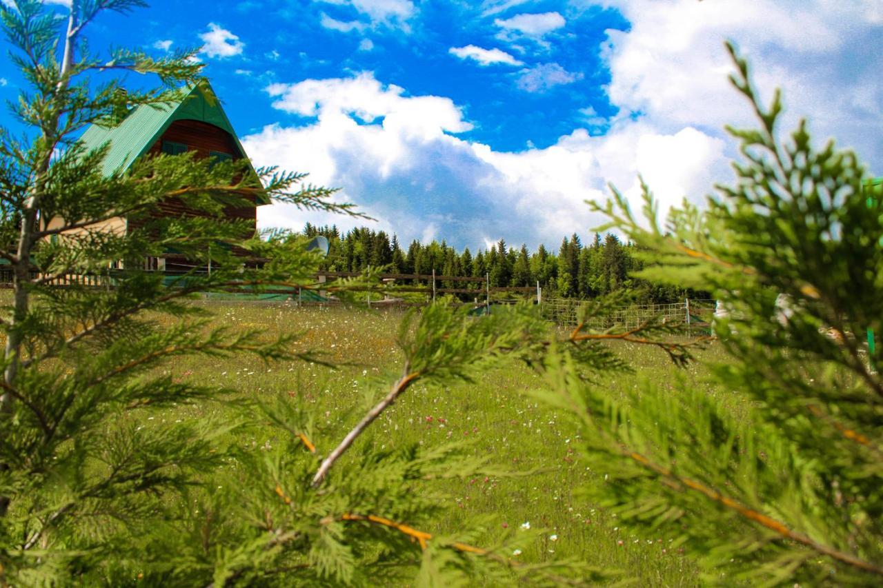 Vikendica Anja Villa Zabljak  Ngoại thất bức ảnh