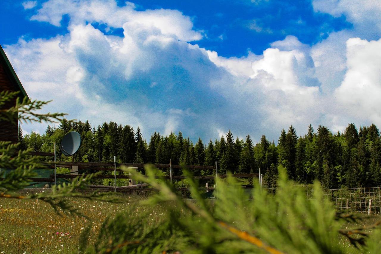 Vikendica Anja Villa Zabljak  Ngoại thất bức ảnh