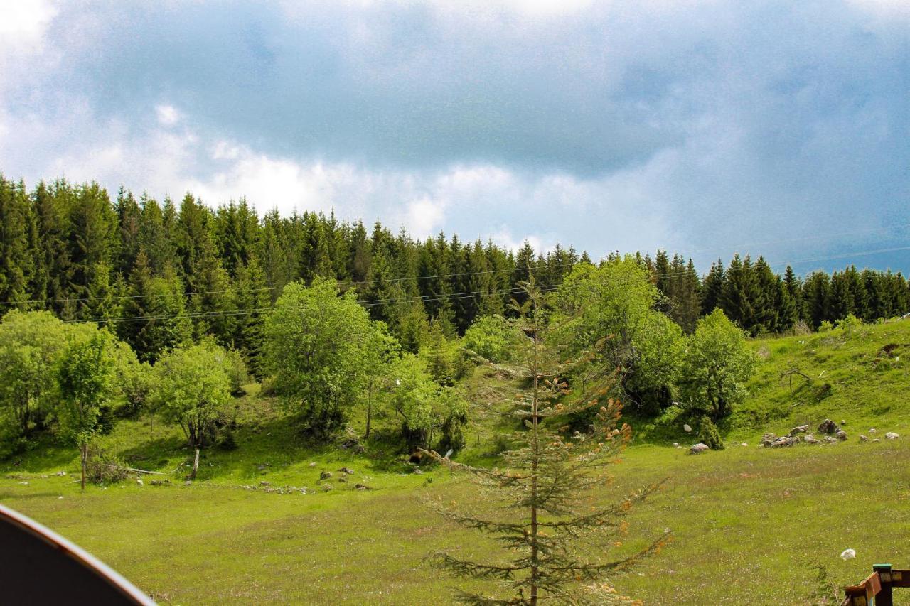 Vikendica Anja Villa Zabljak  Ngoại thất bức ảnh